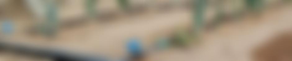 Fly The Phoenix | Charici