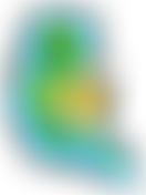 Philippines Schools Project | Charici