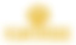 Plant For Peace Foundation Ltd | Charici
