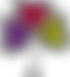 Pembury Baptist Church | Charici