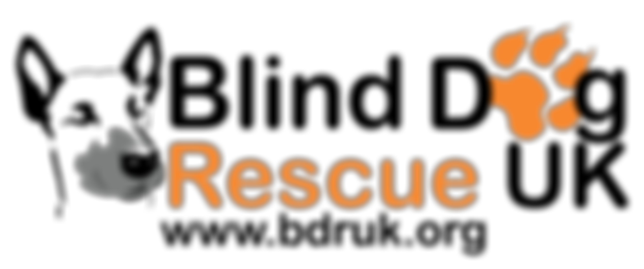 Blind Dog Rescue UK | Charici