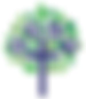 Friends Of Feckenham School | Charici