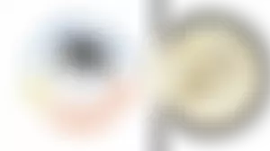 Act International Foundation | Charici