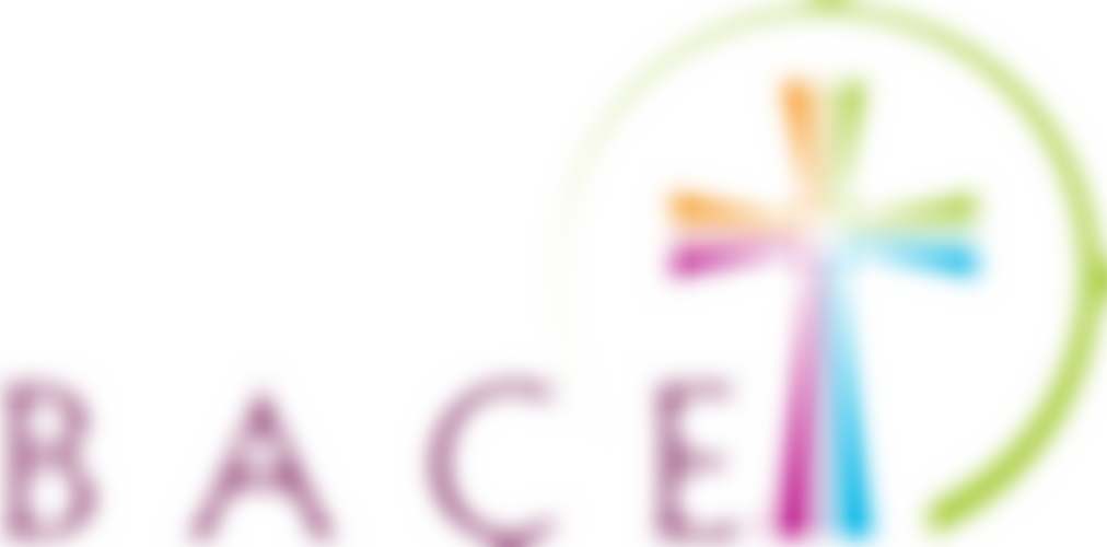 Bethel Apostolic Church Of Excellence | Charici