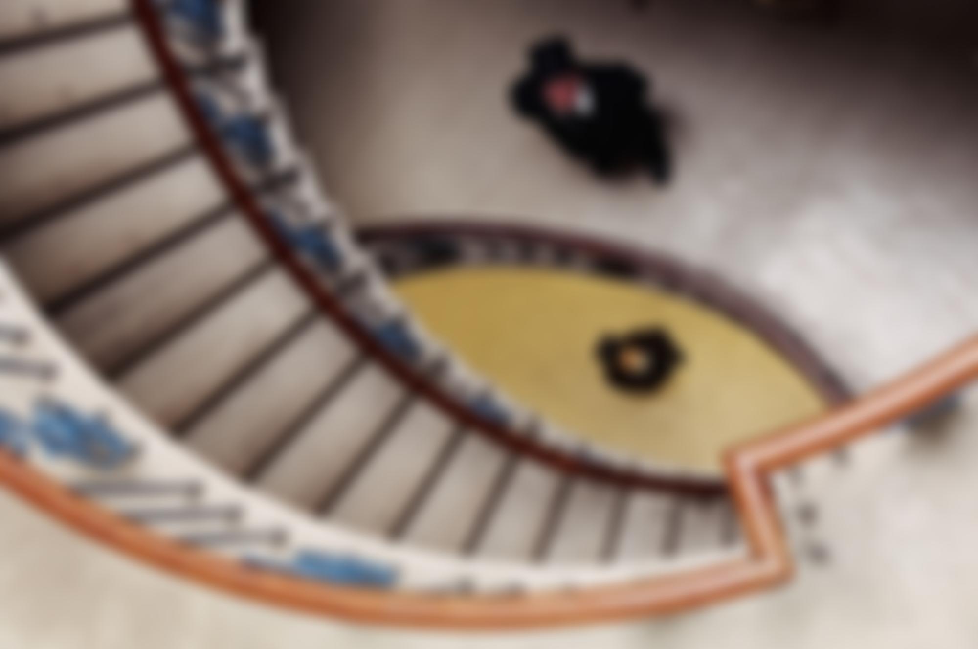 Dreamthinkspeak | Charici