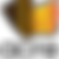 Alliance For Cohesion And Racial Equality Ltd | Charici