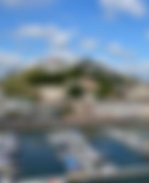 Torbay Civic Society | Charici