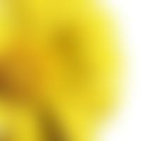 The Hannah Chamberlain Foundation | Charici