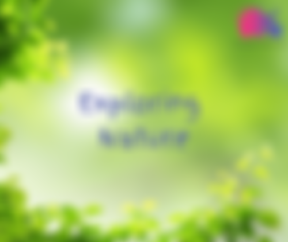 The Foundation Years Trust | Charici