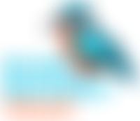 River Waveney Trust | Charici