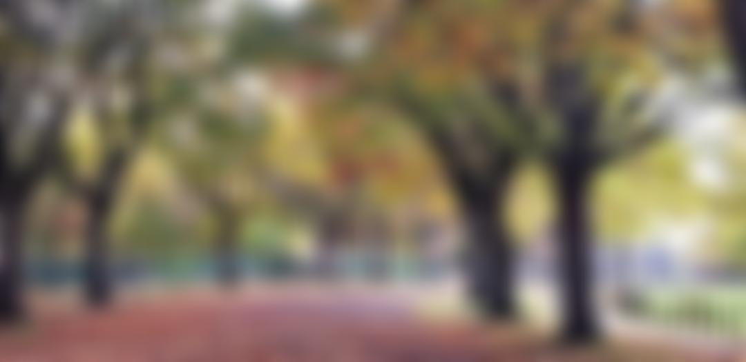 Friends Of Pickering Park | Charici