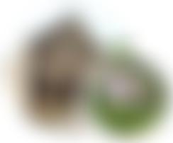 Stanton Lees Chapel | Charici