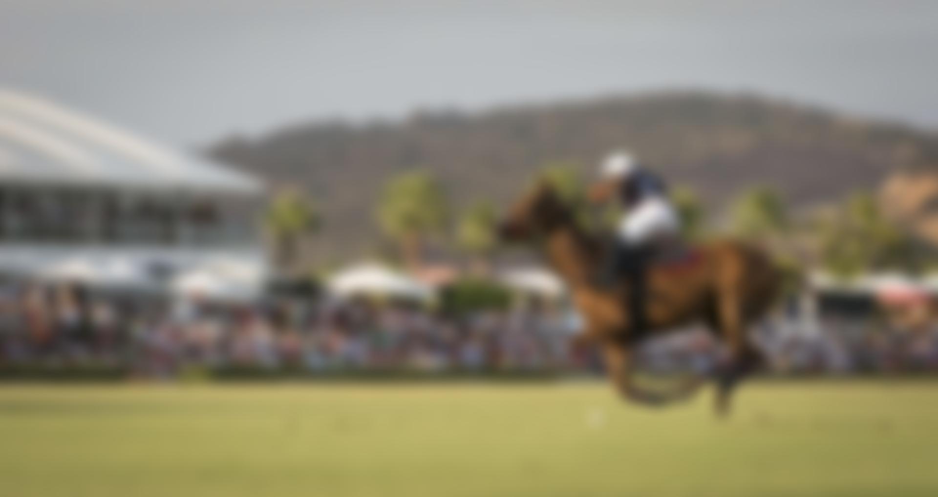 Schools And Universities Polo Limited | Charici