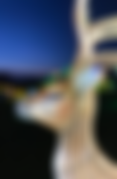 The Thursford Collection | Charici