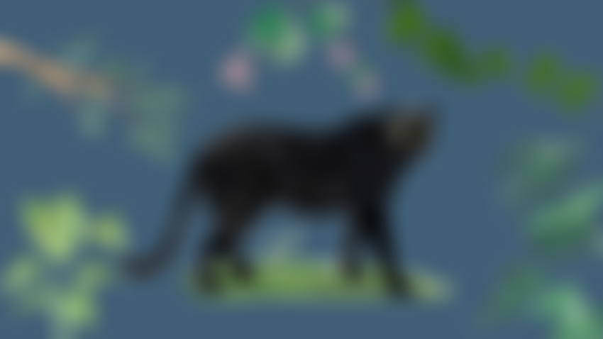 Onca Trust Limited | Charici