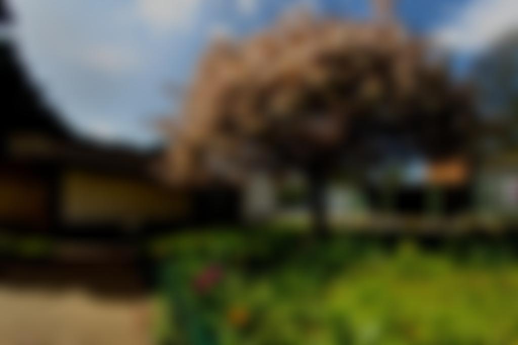 New Windmill Hall Community Association | Charici