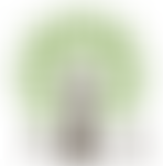 Tenbury Nils Scheme | Charici