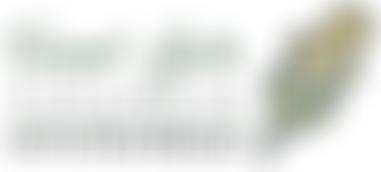 Forest Gate Church | Charici