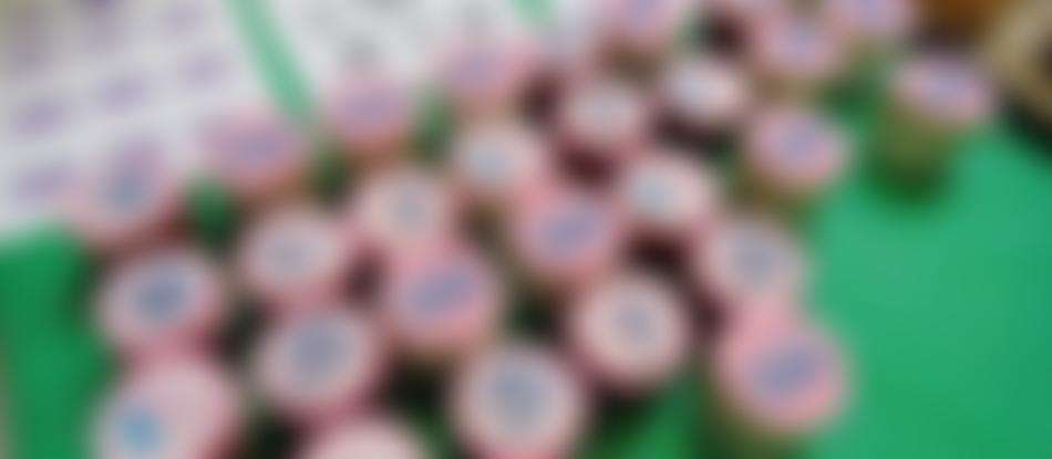 The Sheba Project Ltd | Charici