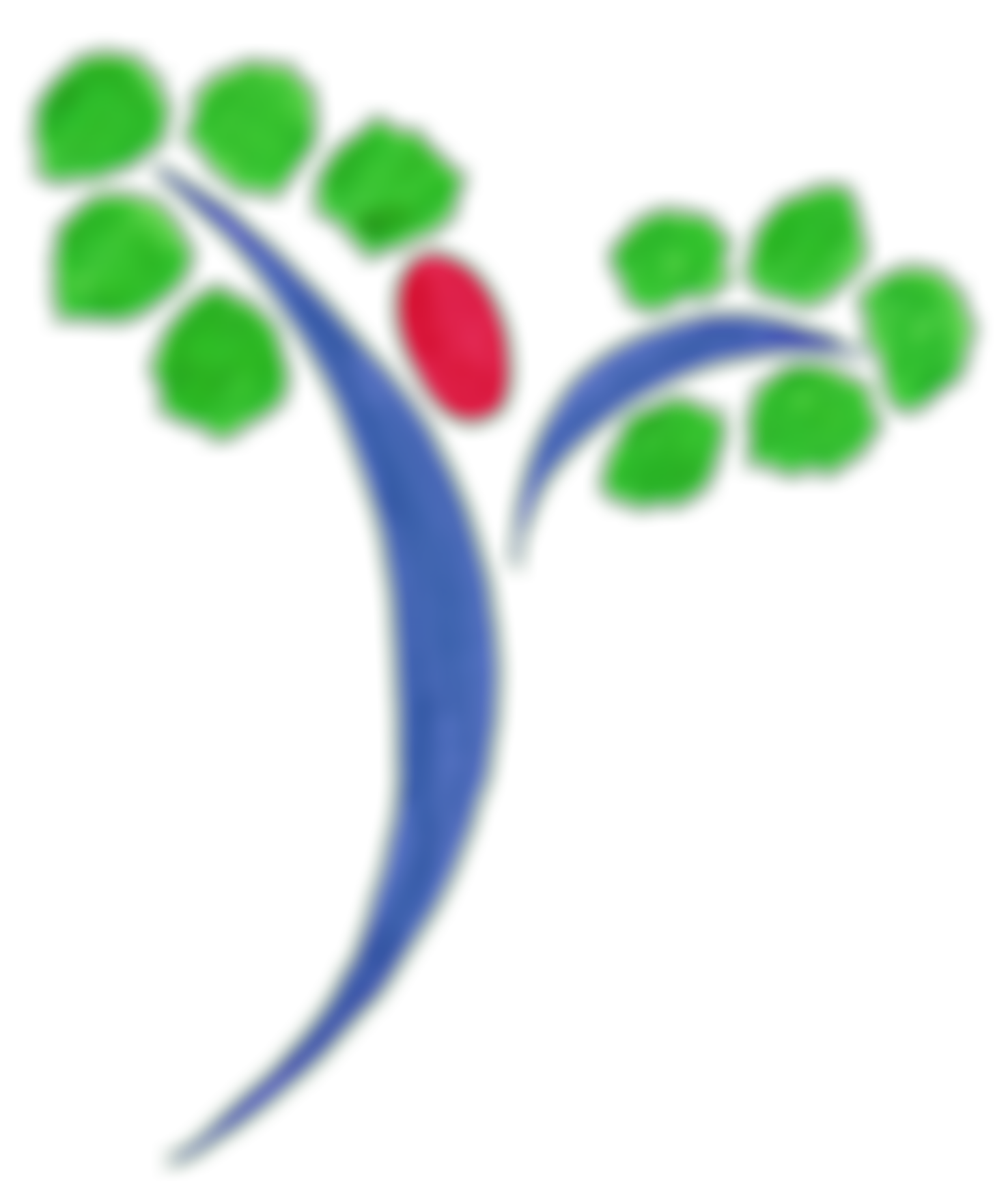 Lockswood Community And Sports Association | Charici