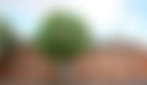 Holy Mission Of Guru Nanak | Charici