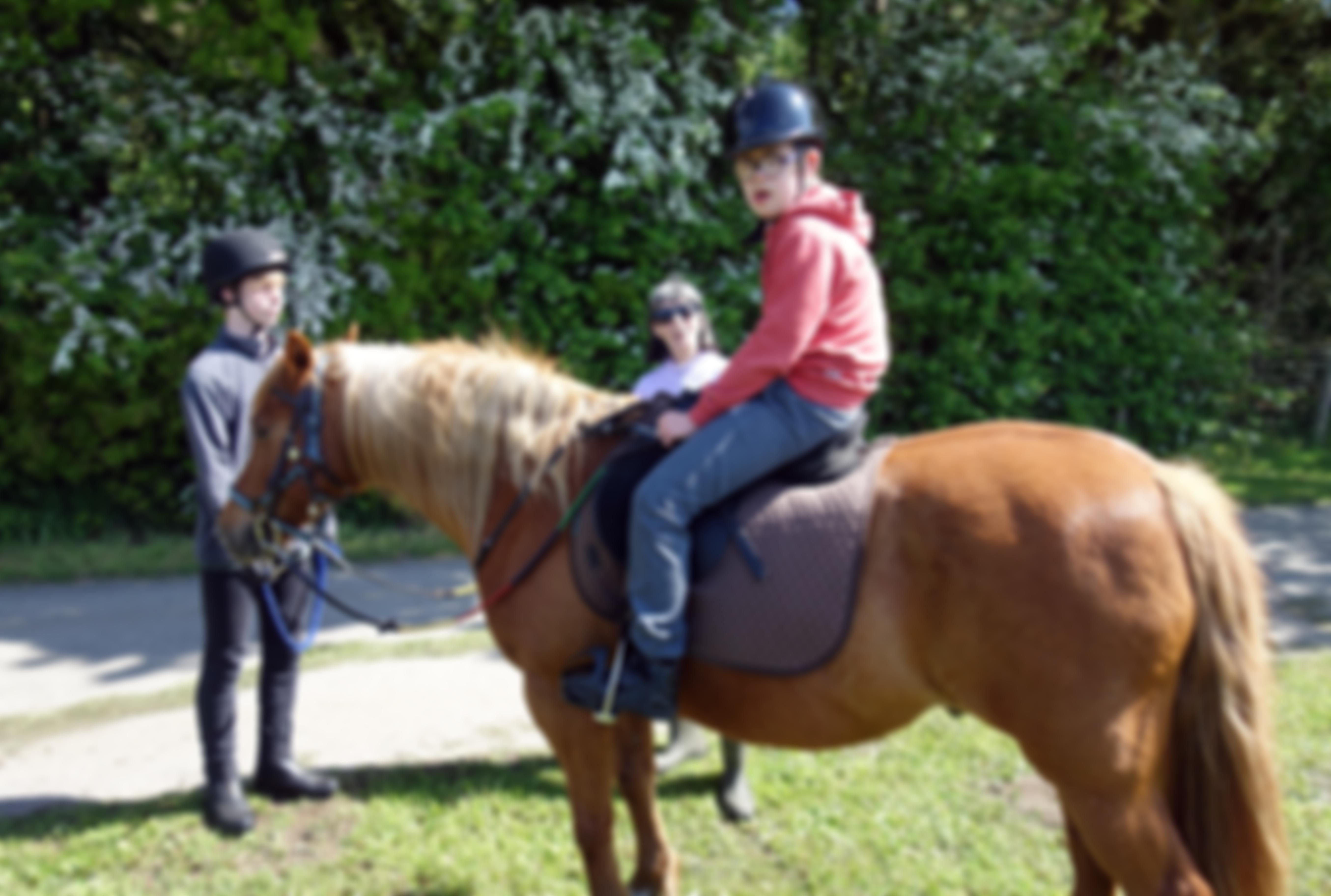 City Health Care Partnership Foundation | Charici