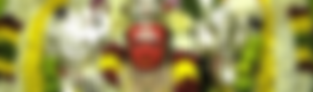 Sri Thurkkai Amman Temple | Charici