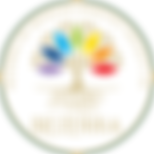 Bezerra De Menezes Spiritist Society UK | Charici