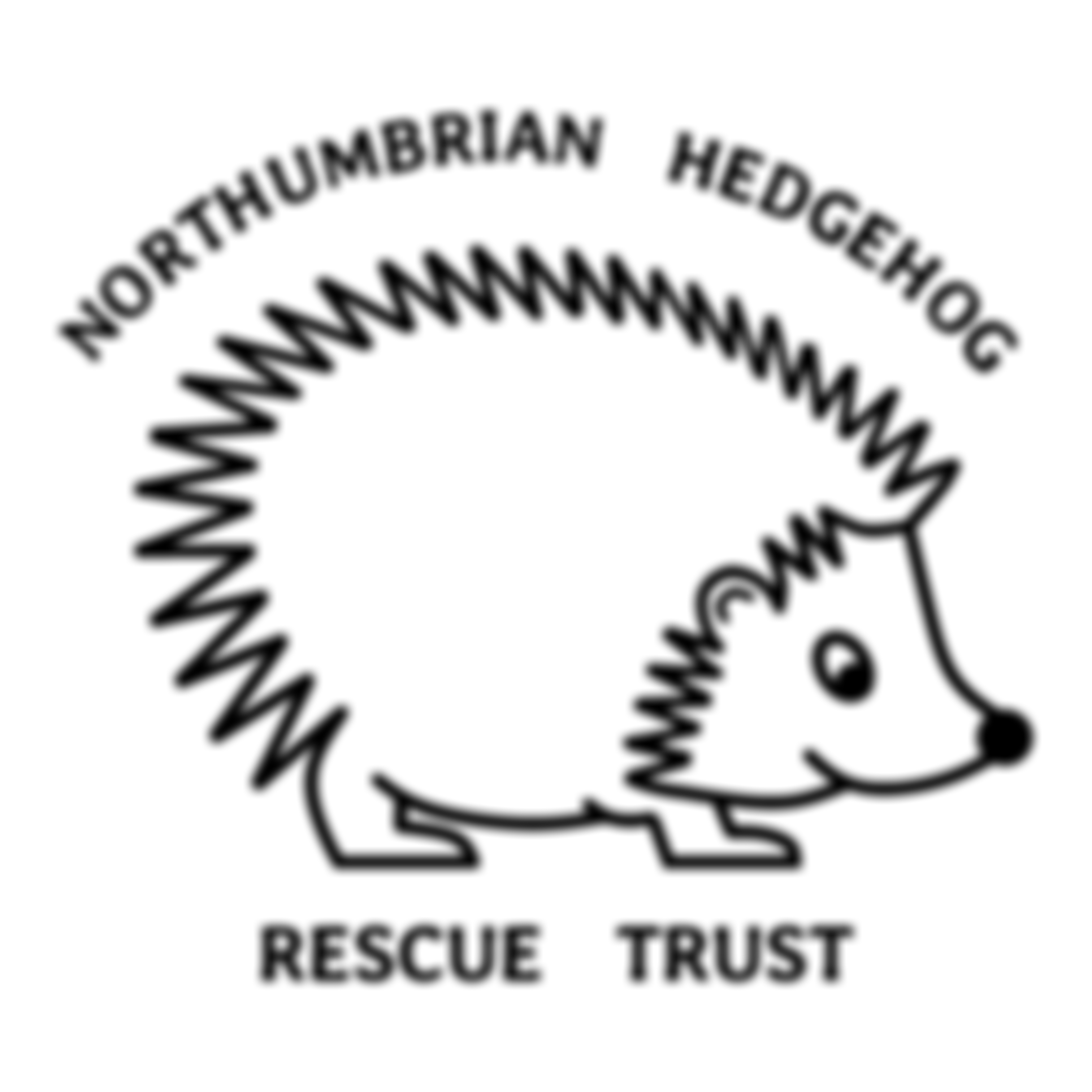 Northumbrian Hedgehog Rescue Trust | Charici