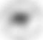 Horse Sense Wirral | Charici