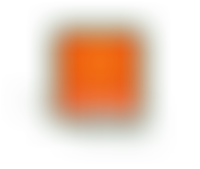 Rishi's Vision | Charici