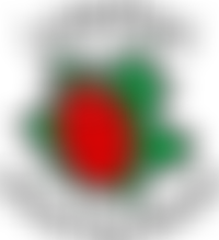 Ladybird Forest Pre-School Ampthill | Charici