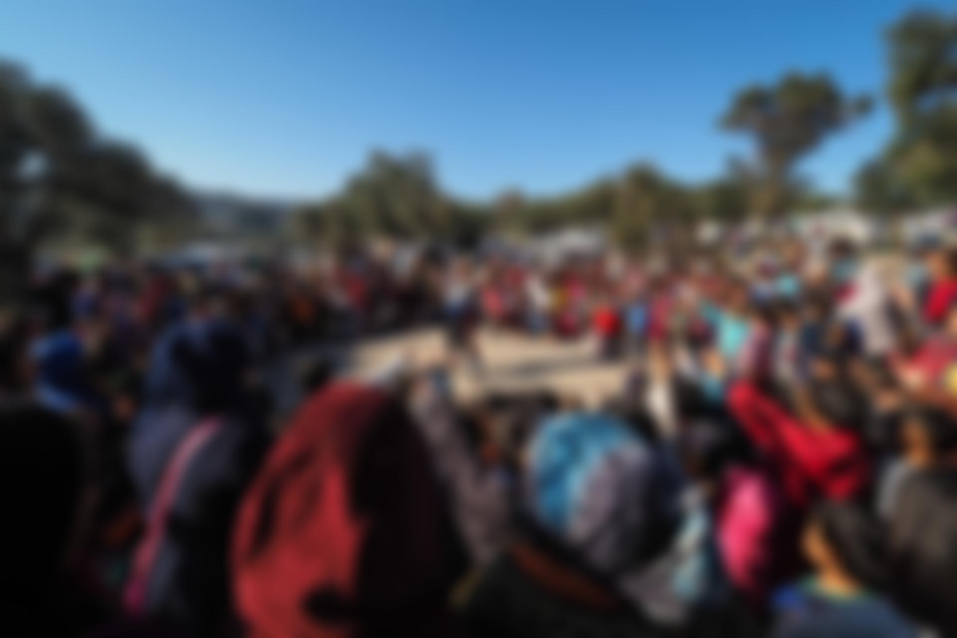 The Flying Seagull Project | Charici