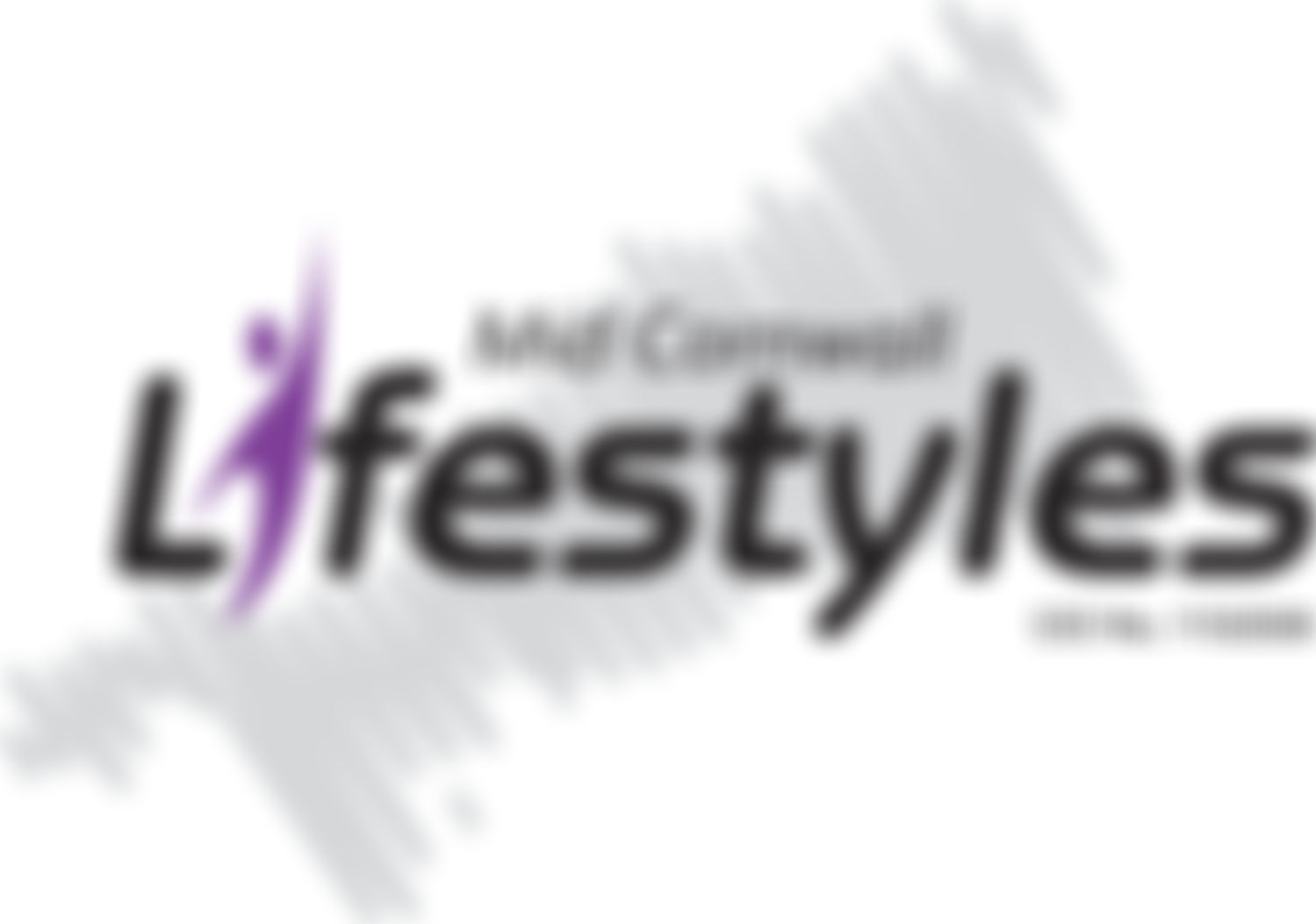 Mid Cornwall Lifestyles | Charici