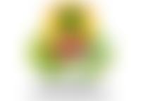 Pittington Community Association | Charici