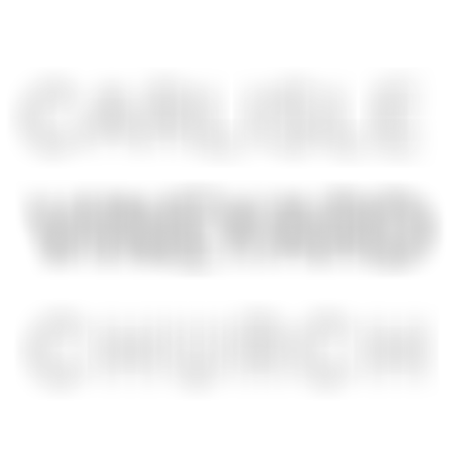 Carlisle Vineyard Church | Charici