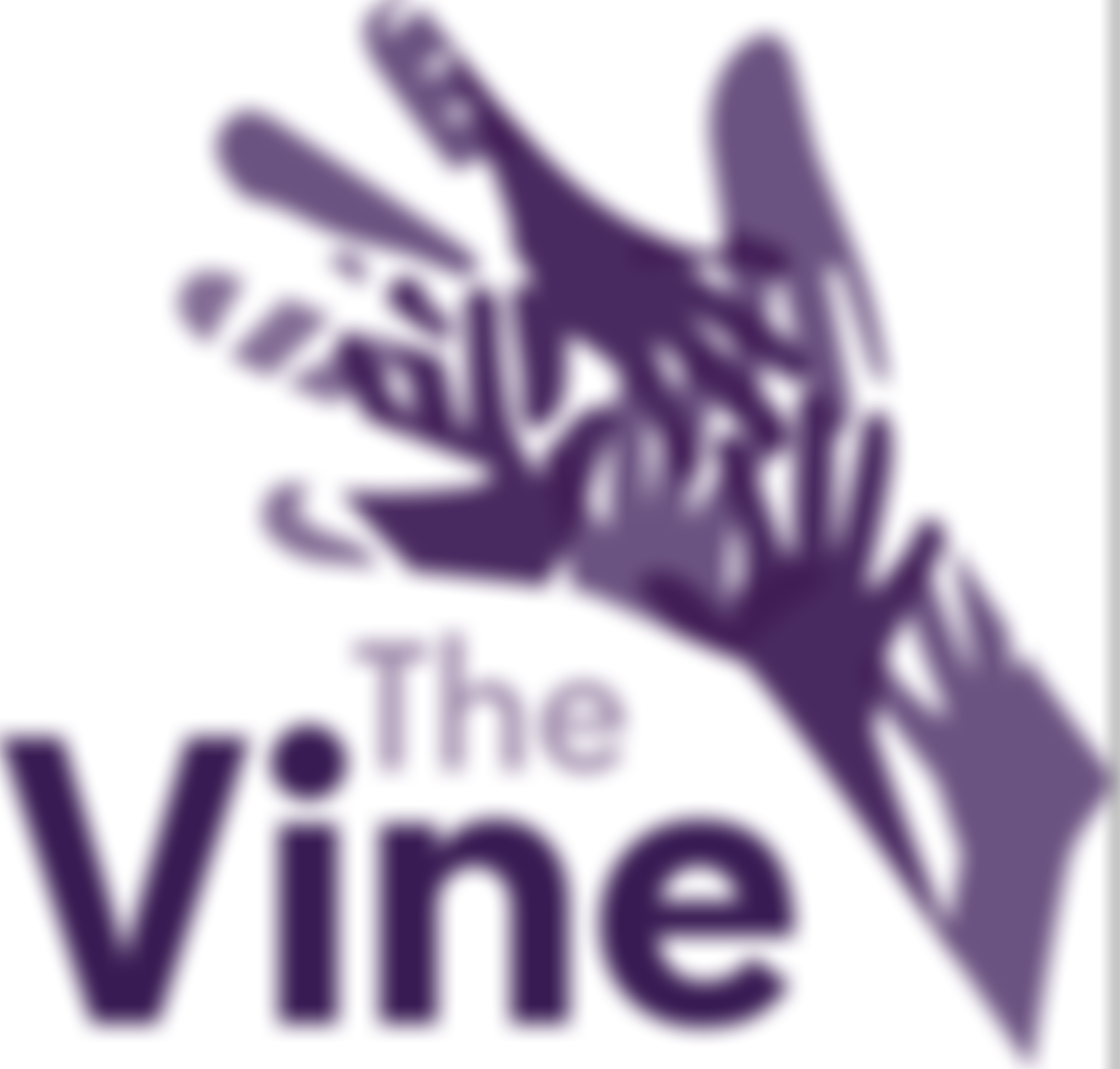 The Vine Maidstone | Charici