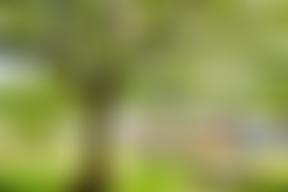 Friends Of Cofton | Charici