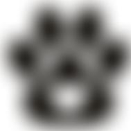 Dun Roamin Rehoming | Charici