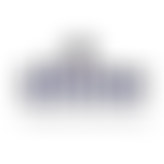 Shine (West Bowling) | Charici