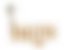 The Huge Partnership | Charici