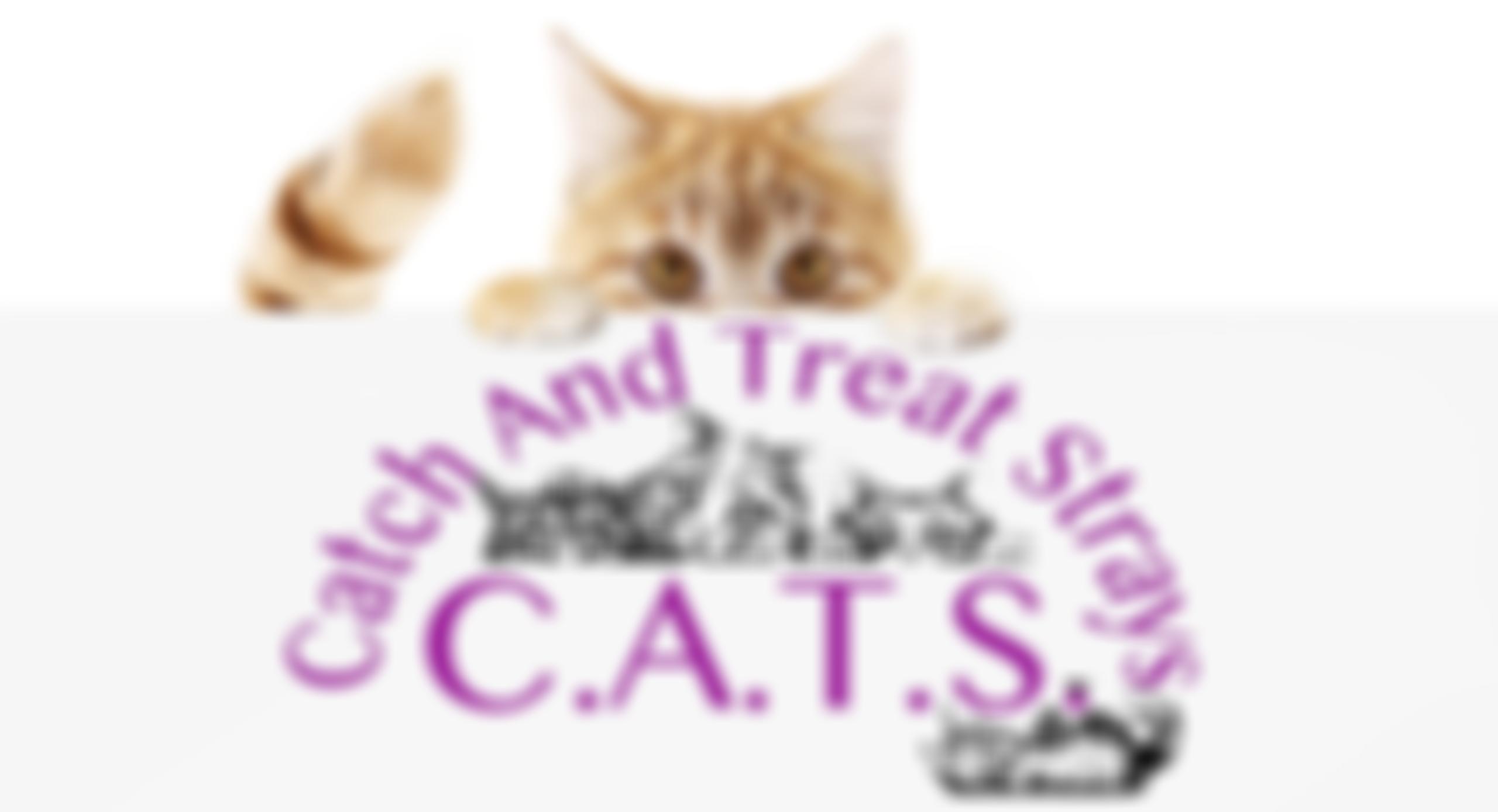 C.a.t.s. (Catch And Treat Strays) | Charici