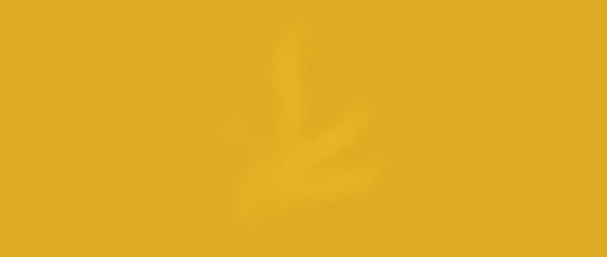 The Parent Teacher Association Of East Sheen Primary School | Charici