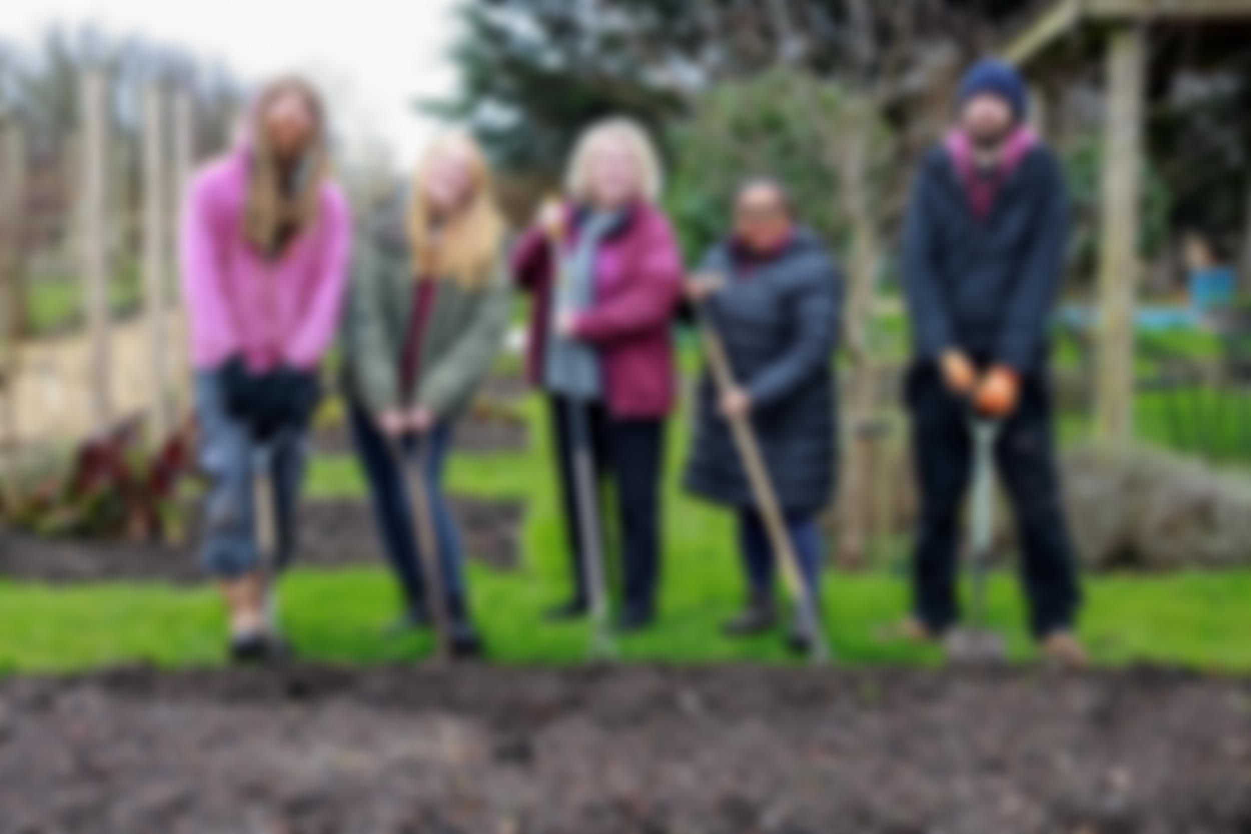 Lindengate | Charici