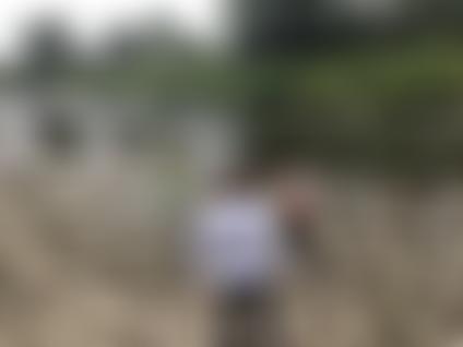 Home Education Wales | Charici