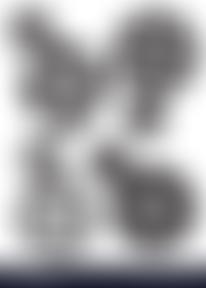 Furness Cogs (Community Organising Green Space) | Charici