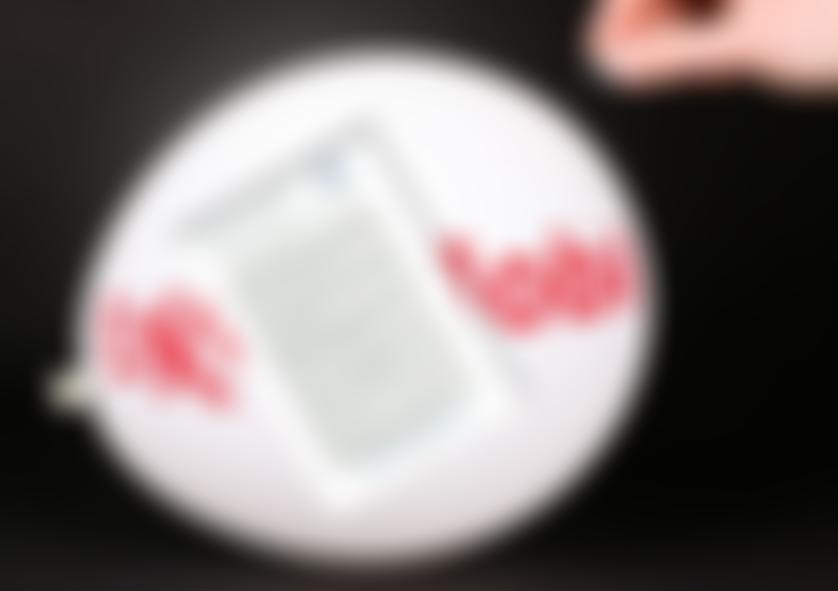 Solent Protection Society | Charici