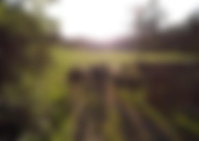 Bristol Avon Rivers Trust | Charici