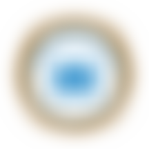 Montessori Community School | Charici