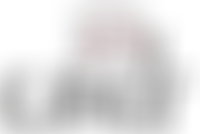 Cromer & Sheringham Operatic And Dramatic Society | Charici